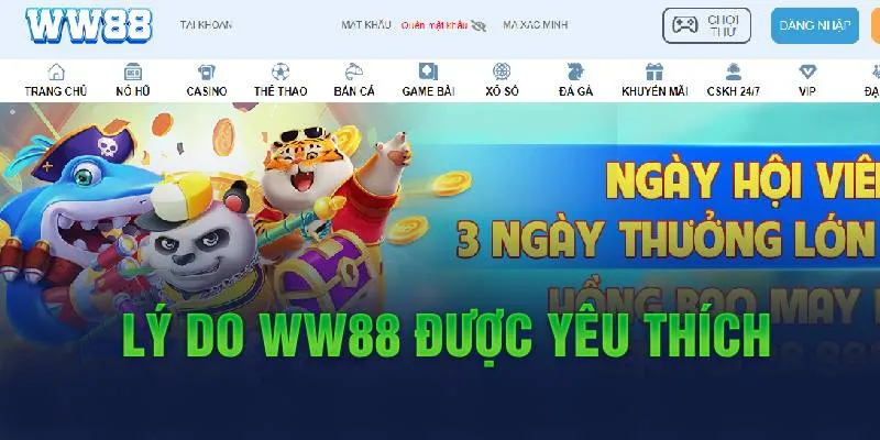 Sản phẩm được yêu thích tại KUBET
